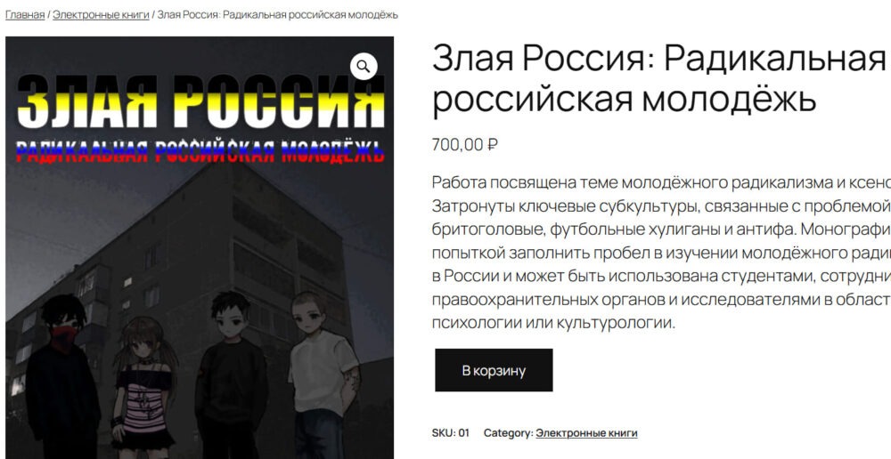 Создание интернет-магазина на поддомене с WordPress