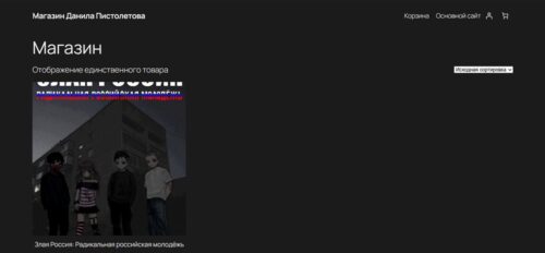 Создание интернет-магазина на поддомене с Wordpress